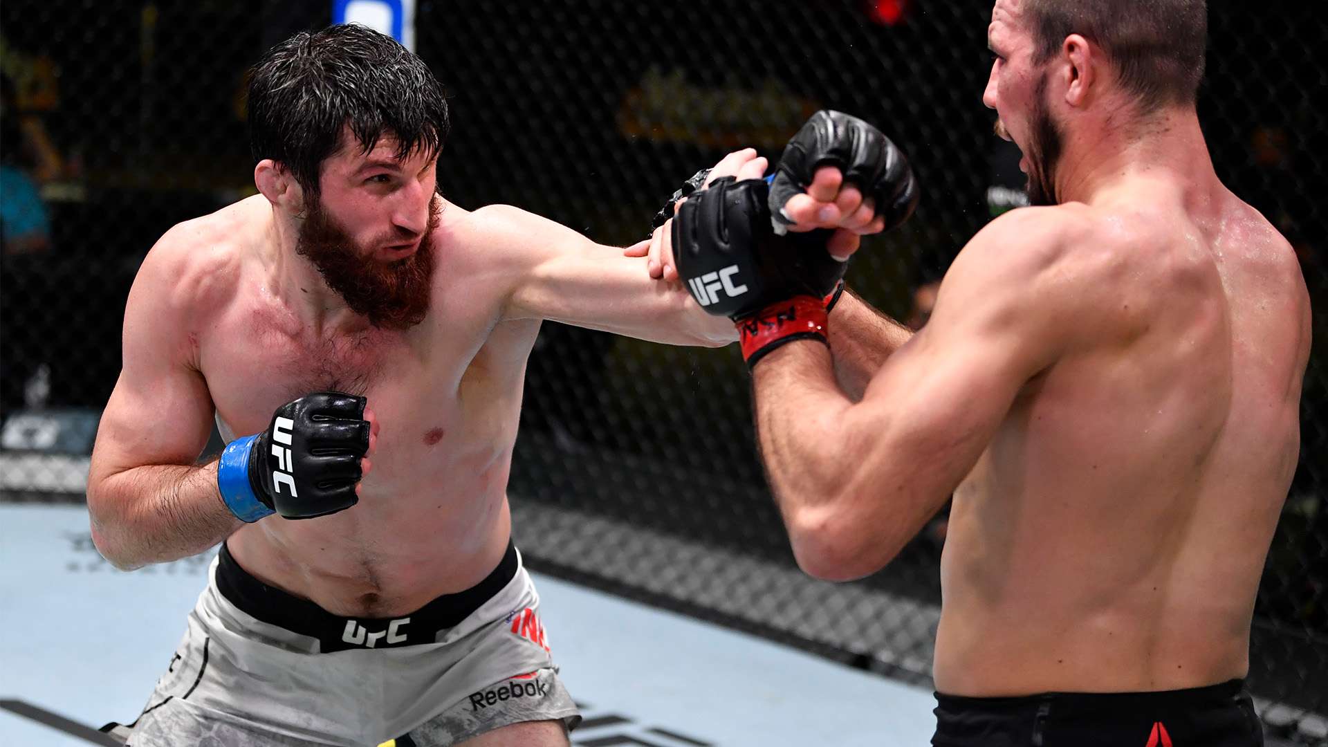 乐道的话题 乐道的话题